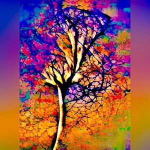 NWT~ Digital Art Prints from my own Photography, 8 1/2" x 11", Signed and Dated